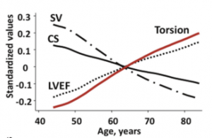 年齢によるTorsion、LVEF、Stroke Volume (SV)、Circumference Shortening（CS）の変化　 文献[3]より部分引用